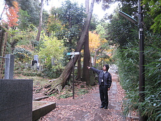寿福寺から源氏山公園への入口